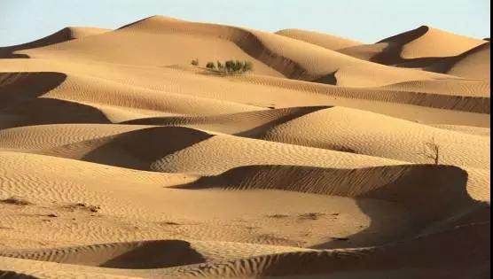 茄子免费视频茄子视频下载安装•相约爱情的缠绵沙海