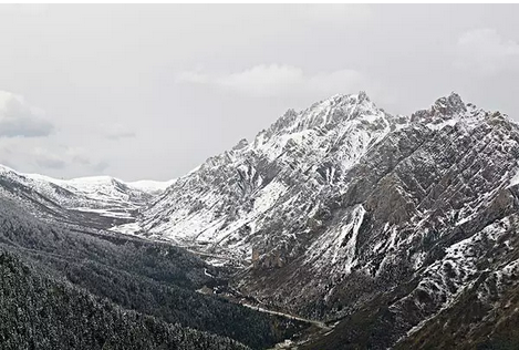 茄子免费视频茄子视频下载安装·沉稳如山的深灰魅力