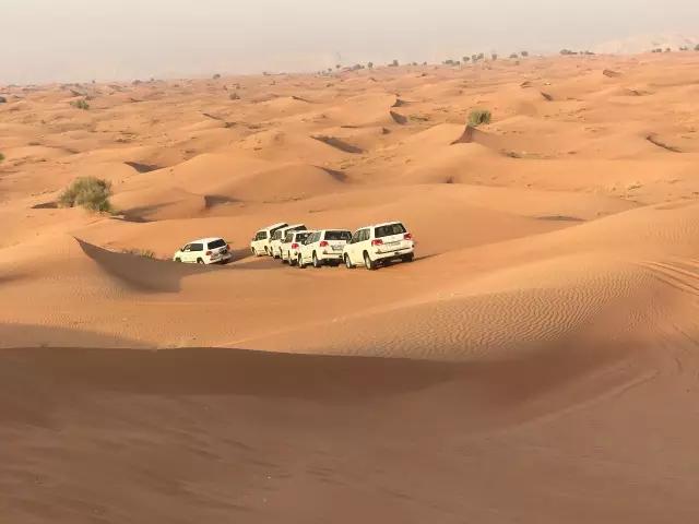 1534927850843170.jpg 1534927850843170.jpg